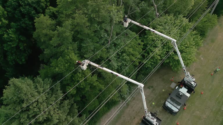 Best Arborist Consultation Services  in Union Gap, WA